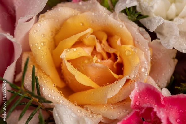 Fototapeta a beautiful gift arrangement of a large variety of different flowers , a flower arrangement for giving from different colors and different types of flowers