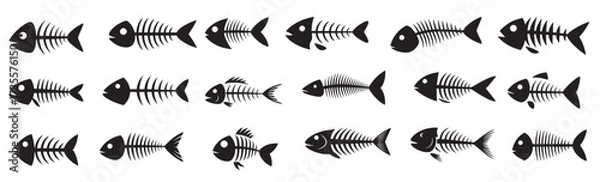 Obraz fish skeleton silhouette vector illustration