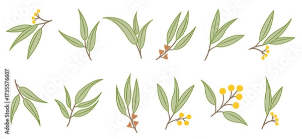 Obraz flat eucalyptus icons vector illustration