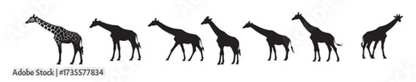 Obraz giraffes silhouette white background vector illustration