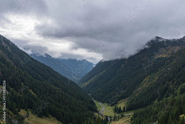 Fototapeta mountain valley with low rain clouds on top view from ascending surrounded by two forests