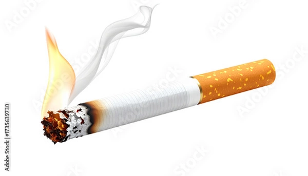 Obraz Lit cigarette with rising smoke