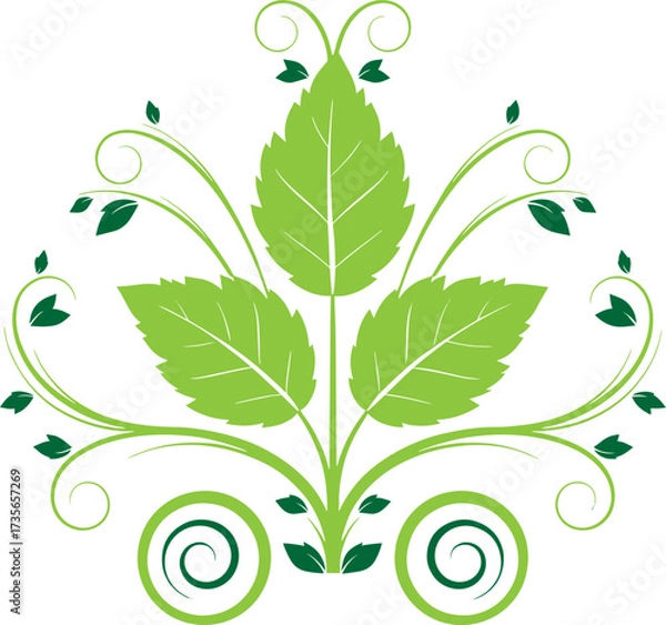 Obraz Elegant green floral swirl ornament delicate leaves and vines botanical design element