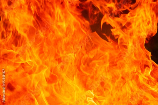 Fototapeta Close up burning flames on black background for graphic design or wallpaper.
