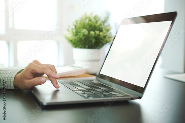 Fototapeta Close-up of hands typing on laptop keyboard with blurred green plant on table background