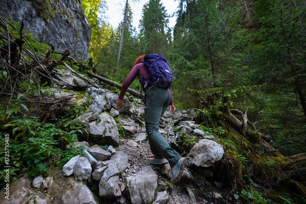 Fototapeta Hiker woman climbing mountain trail