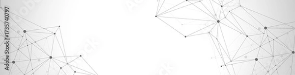 Fototapeta Global network connection concept. Big data visualization. Social network communication in the global computer networks. Internet technology. Business. Science. Illustration