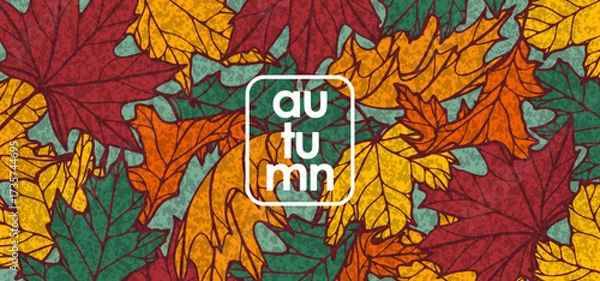 Fototapeta Autumn vector abstract design with maple and oak leaves. Falling leaves botanical illustration