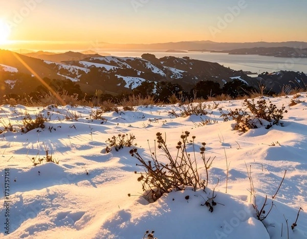 Obraz Snowy hillside at sunset
