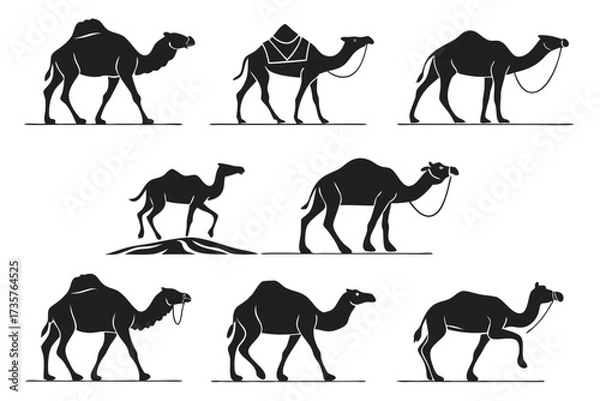 Obraz Desert camel silhouette icon set