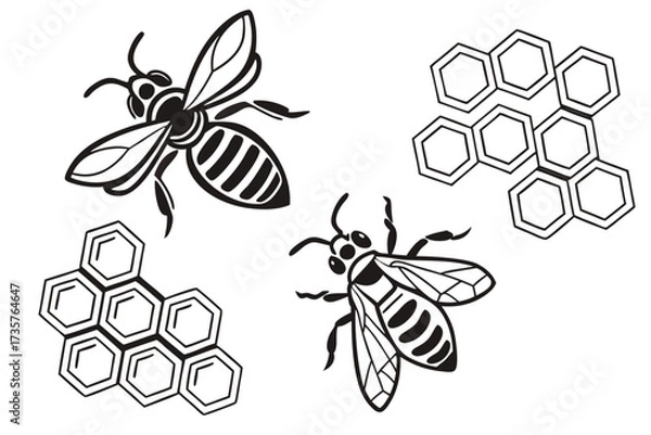 Obraz Detailed bee and honeycomb icon set with black and yellow colors