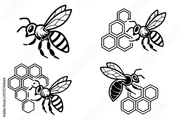 Obraz Detailed bee and honeycomb icon set