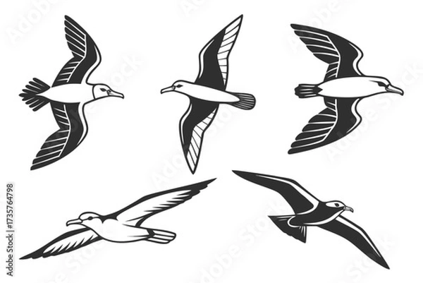 Obraz Minimalist diving petrel icon set with bold colors