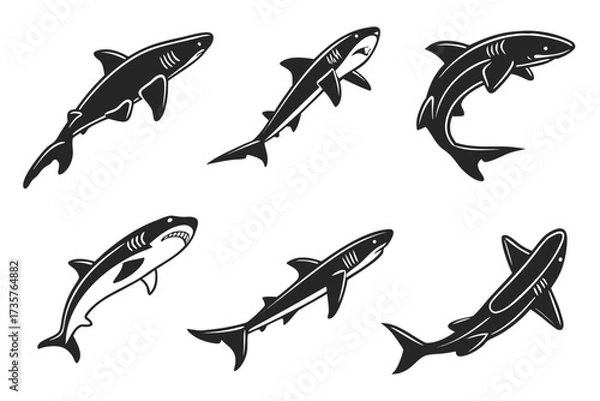 Obraz Minimalist dogfish shark icon set with ocean elements