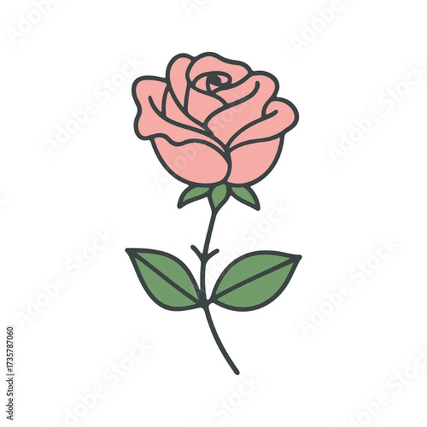Fototapeta Illustration of a light pink rose with green leaves and a dark outline on a white background artfully drawn