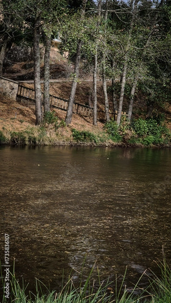 Fototapeta Rebelos river beach in Murça, Tras-os-Montes, Portugal, by a Tua tributary. Riverside woodland, rustic fence, and natural setting offer a tranquil landscape for recreation and relaxation.