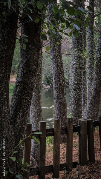 Fototapeta Rebelos river beach in Murça, Tras-os-Montes, Portugal, by a Tua tributary. Riverside woodland, rustic fence, and natural setting offer a tranquil landscape for recreation and relaxation.