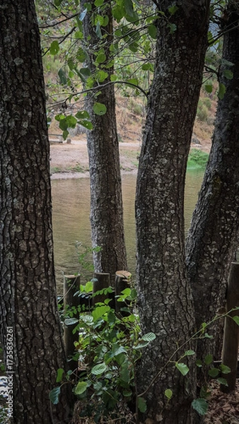 Fototapeta Rebelos river beach in Murça, Tras-os-Montes, Portugal, by a Tua tributary. Riverside woodland, rustic fence, and natural setting offer a tranquil landscape for recreation and relaxation.