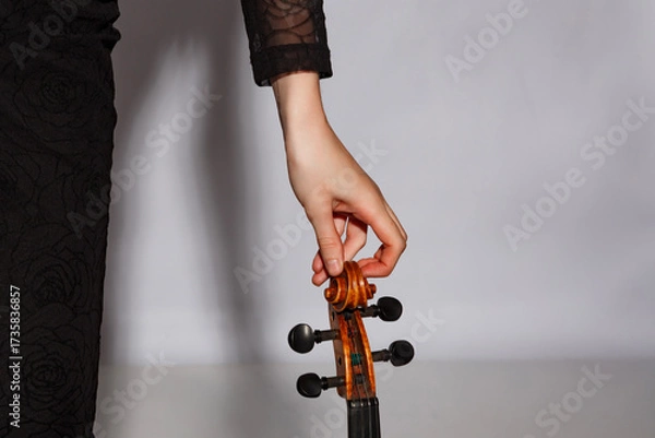 Fototapeta Violinist tuning instrument with a graceful hand at a studio during a music session