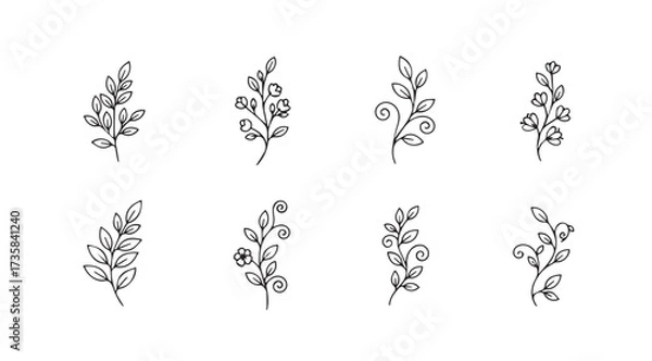 Fototapeta Vector art of twigs