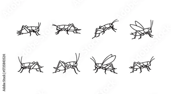 Fototapeta Vector art of grasshopper