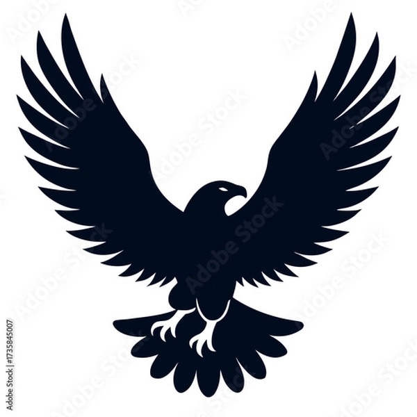 Fototapeta Flying Eagle Color full with Spread Wings – Powerful Bird Illustration.