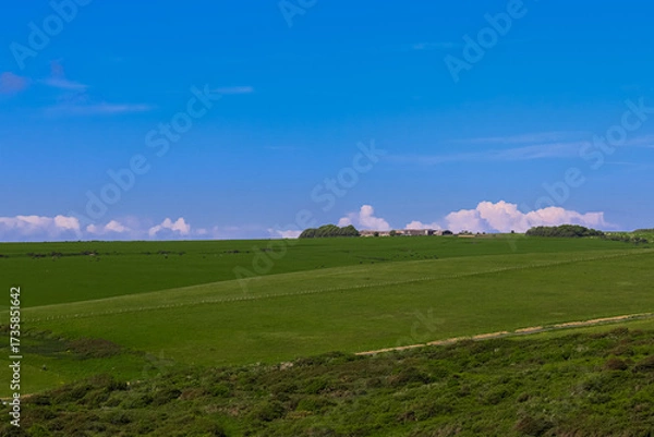 Fototapeta Distant farm buildings and tree clusters sit beyond open pastureland with boundary fence under wide blue sky, concept of agriculture, countryside ownership and English rural setting