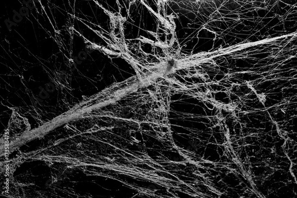 Fototapeta cobweb spider texture on black background, trap danger