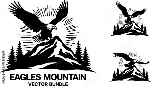 Obraz Eagle on Mountain Peak Logo Bundle