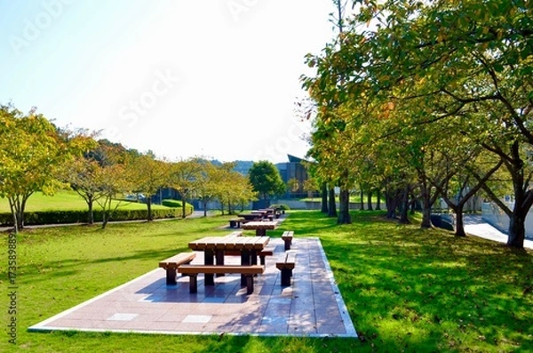 Obraz bench in the park