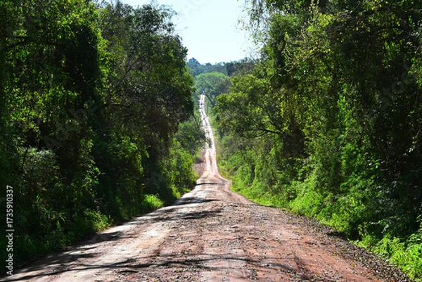 Fototapeta Jungle roads and forests in the Amazon jungle of Argentina
