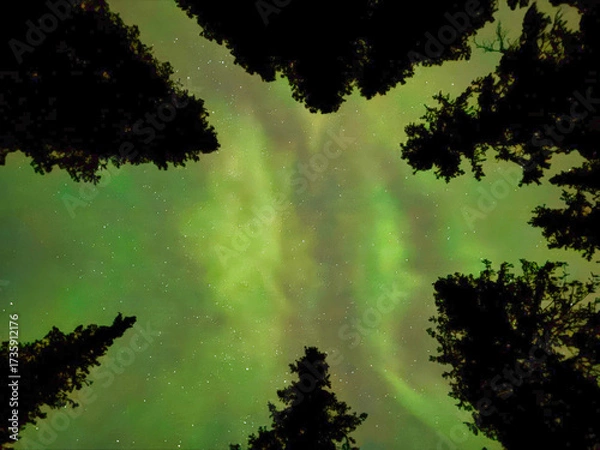 Obraz A beautiful night sky with a green aurora
