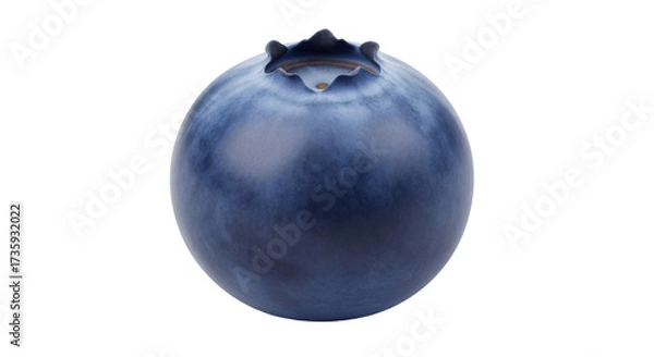 Obraz Isolated blueberry close up, ripe and ready to eat, healthy single fruit still life detail