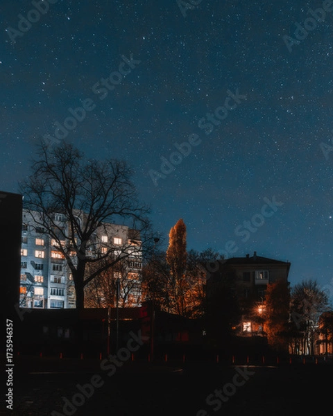 Fototapeta A long exposure captured millions of stars over a residential area. In the foreground are the silhouettes of trees and one brightly lit autumn tree, creating an atmosphere of cozy mysticism.