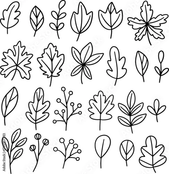 Fototapeta Collection of hand drawn autumn leaves and branches in black and white doodle style, featuring different leaf shapes and botanical elements for seasonal design and coloring. Vector illustration.