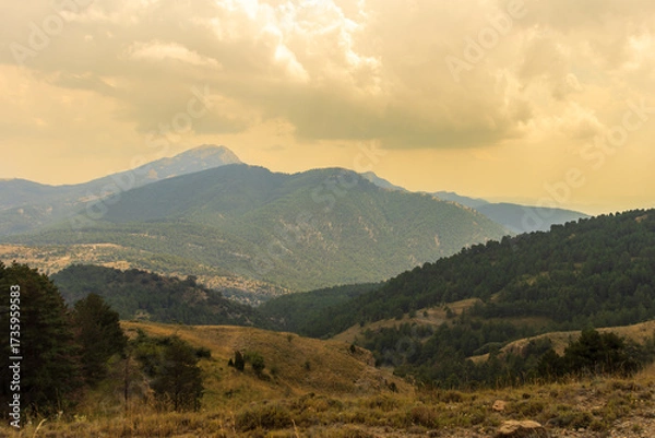 Obraz Scenic mountain landscape with lush green forests and cloudy sky