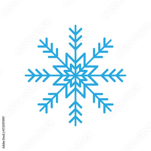 Fototapeta Snowflakes