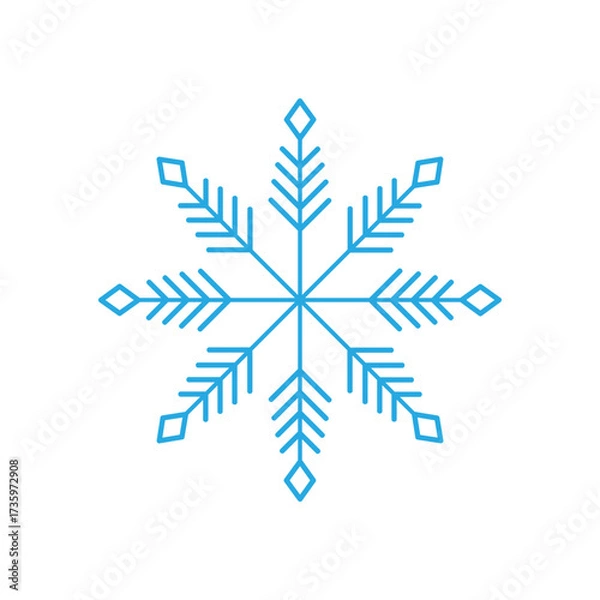 Fototapeta Snowflakes