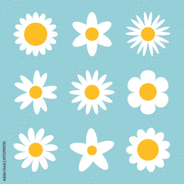 Fototapeta Collection of white flower icon. Chamomile daisy flower set vector. 