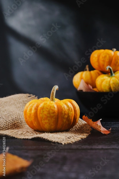 Fototapeta Orange pumpkins on dark background, abstract autumn, concept, copy space