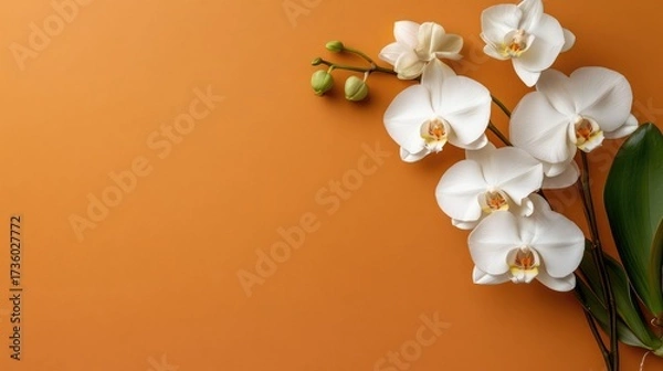 Fototapeta Glossy gold frame with orchids styled on a bright matte orange wall