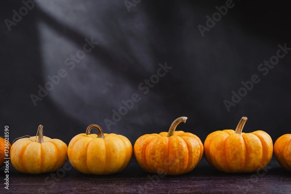 Fototapeta Whole orange pumpkins in a row, on dark background, abstract autumn, concept, copy space
