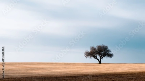 Fototapeta Single tree standing alone in the middle of a vast field. the sky is a pale blue with a few wispy clouds scattered across it. the field is dry and barren, with only a few patches of grass visible.
