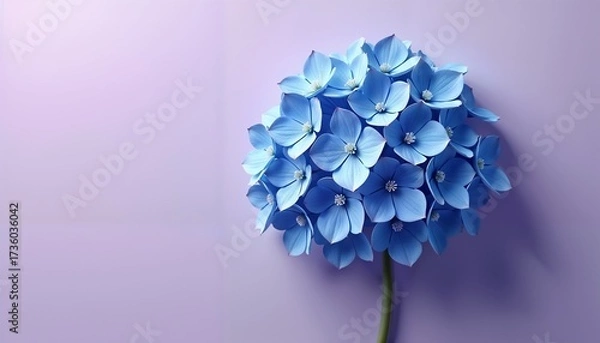 Obraz A close-up of a blue hydrangea flower on a soft purple background. The petals are vibrant and detailed, showcasing the flower's natural beauty.