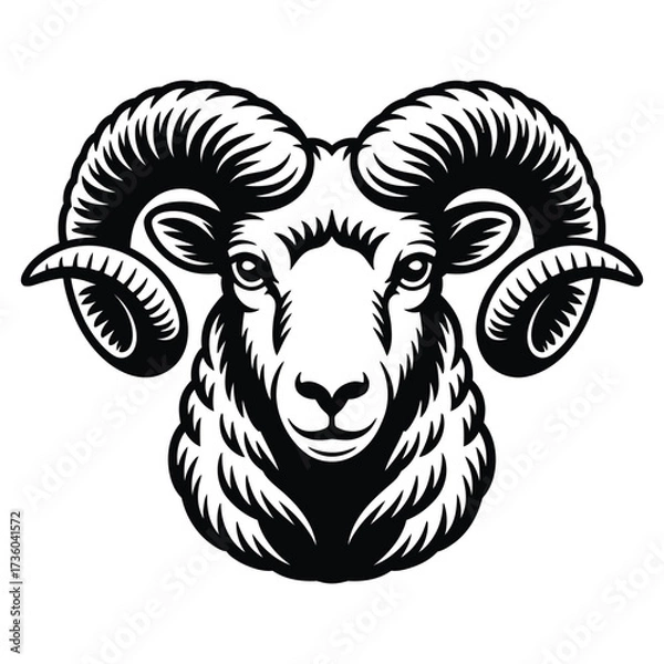 Fototapeta sketch of a sheep