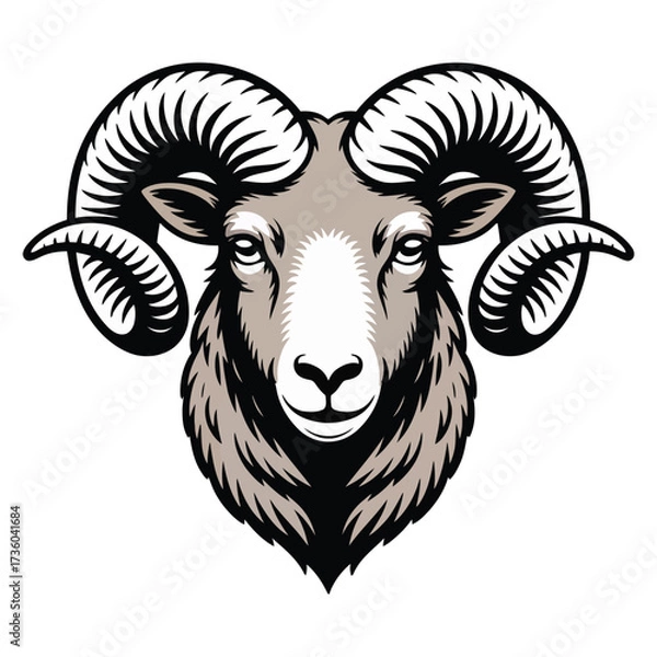 Fototapeta vector illustration of a sheep