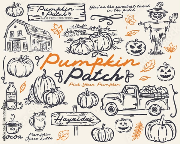 Fototapeta Pumpkin Patch Whimsical hand drawn vector illustration Set