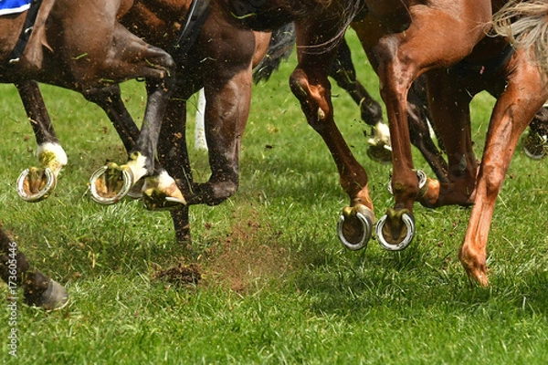 Obraz Horse racing action
