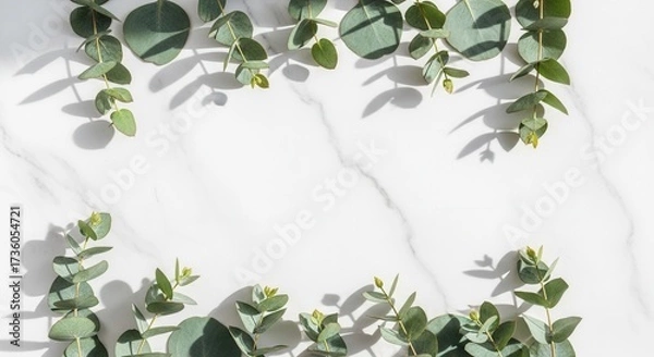 Fototapeta Eucalyptus branches with green leaves cast shadows on a white marble surface framing an empty center