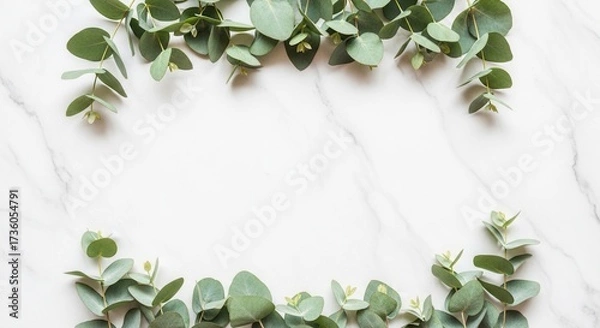 Fototapeta Eucalyptus branches with green leaves frame a white marble surface providing an open central space